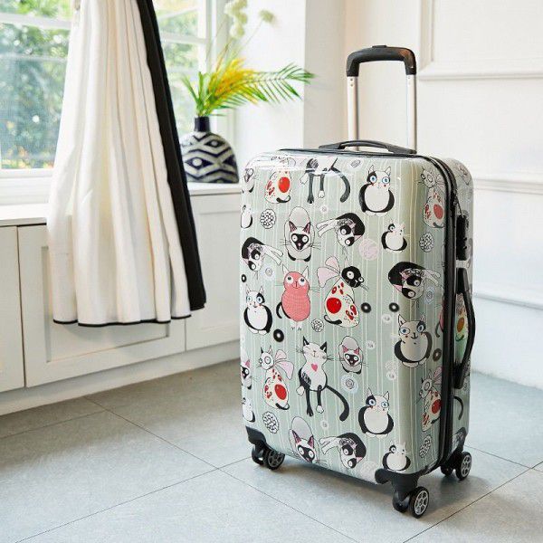 Cartoon Cardan wheel 20 inch luggage case women's bag 24 inch children's Trolley Case traveling case boy student's bag